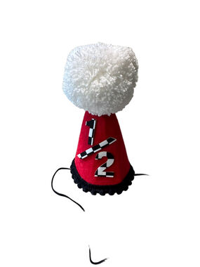 Celebrate 6 Months of Life Red '1/2' Pom-Pom Party Hat for Kids New